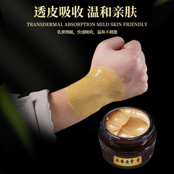 五毒透骨膏颈椎腰椎透骨膏 - Image 7